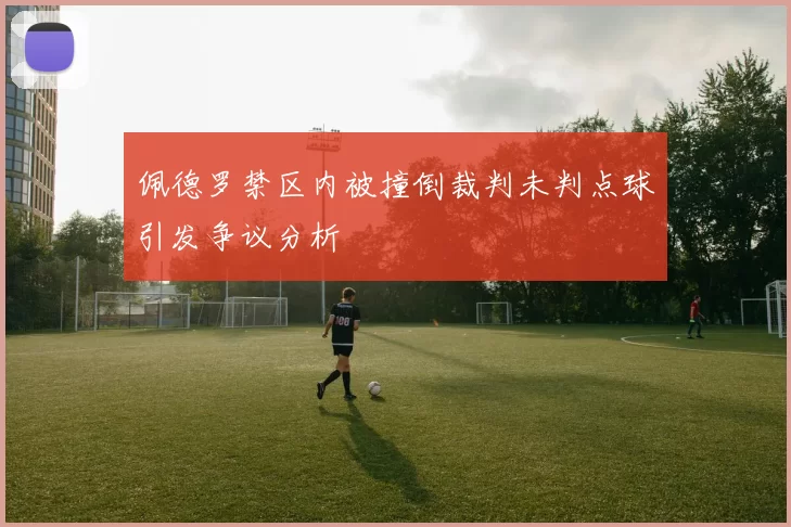 佩德罗禁区内被撞倒裁判未判点球引发争议分析