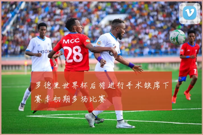 罗德里世界杯后将进行手术缺席下赛季初期多场比赛